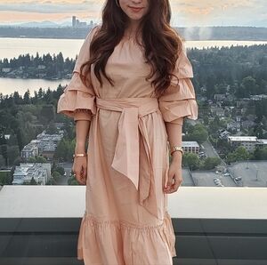 Zara ruffle sleeve midi dress in size S